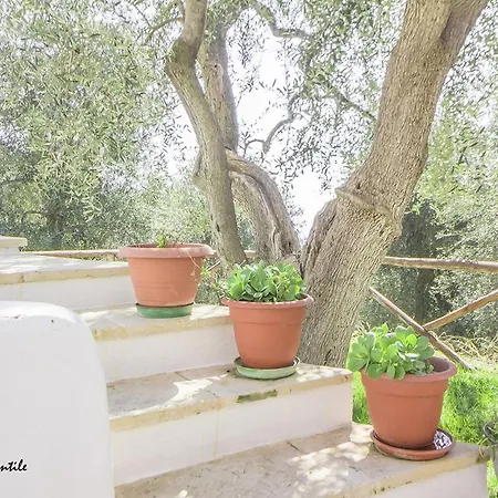 Casa Della Valle Gentile Ferienhaus *