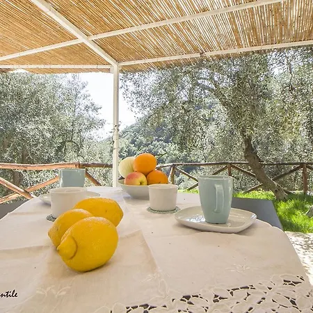 Casa Della Valle Gentile Mattinata